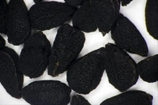 Çörek Otu Çiğnemek Çörekotu Çiğnemek Faydaları Nelerdir? Çörek Otu Çiğnemek Çörekotu Çiğnemek Faydaları Nelerdir?