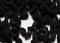 Çörek Otu Yağı Hemoroid Kullanımı ve Faydaları Nelerdir? Çörek Otu Yağı Hemoroid Kullanımı ve Faydaları Nelerdir?